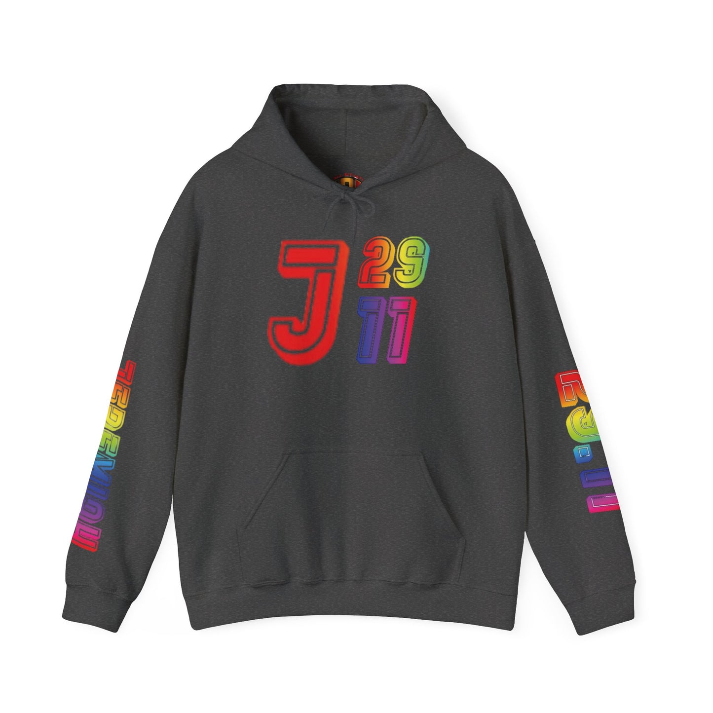 JEREMIAH 29:11™ Hooded Sweatshirt